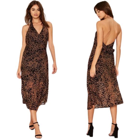 Foxiedox Dress Womens Small Brown Black Effie Animal Print Velvet Halter Midi - Picture 1 of 14